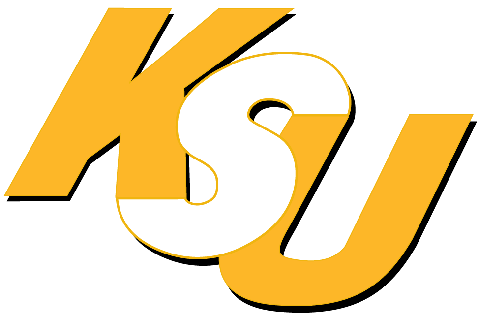 Kennesaw State Owls 0-2011 Wordmark Logo v2 iron on transfers for fabric